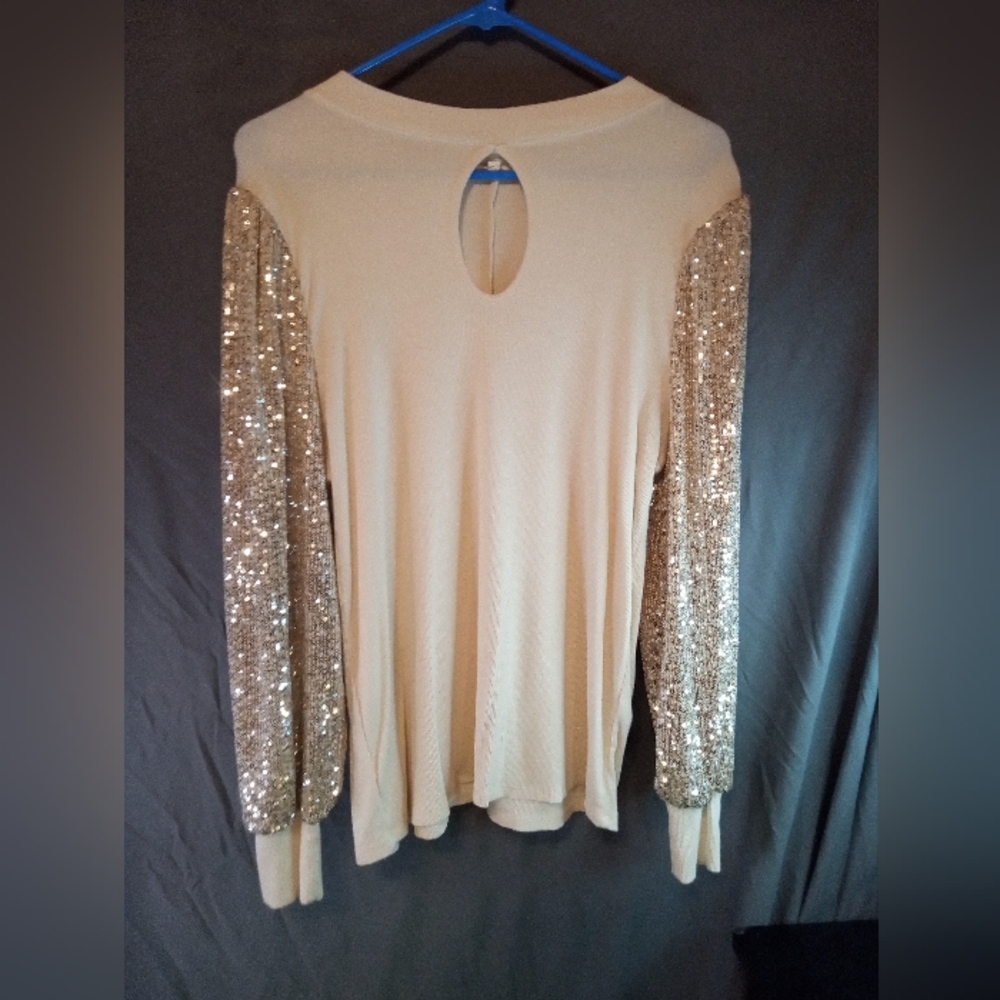 Elegant Maurice Cream Top with Sequin Long Sleeves